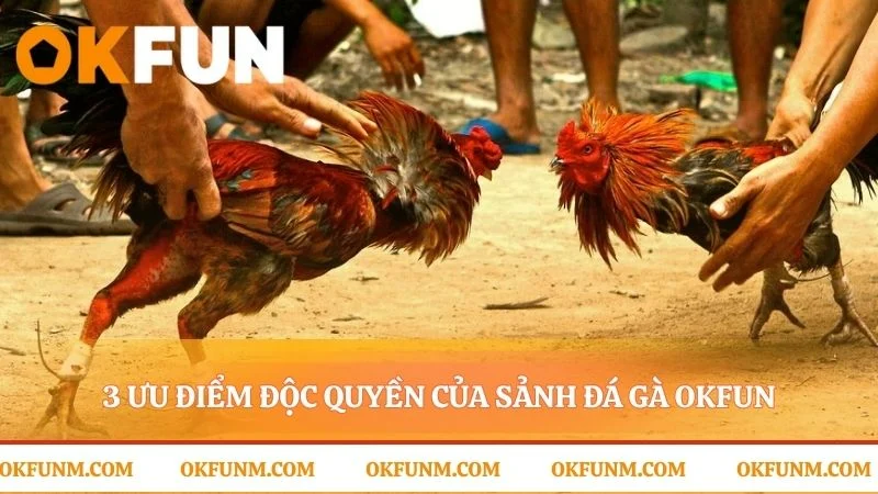 Công nghệ tạo nên lợi thế cho người chơi