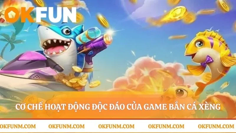 Quy luật vận hành của đại dương săn thưởng