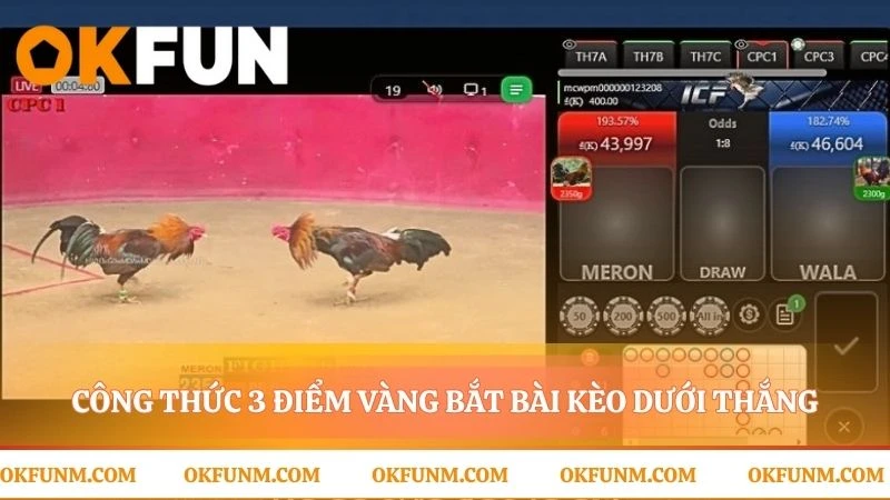 Phát hiện chiến binh ẩn mình qua ba dấu hiệu