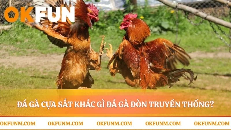 Khi vũ khí kim loại thay đổi toàn bộ trận đấu