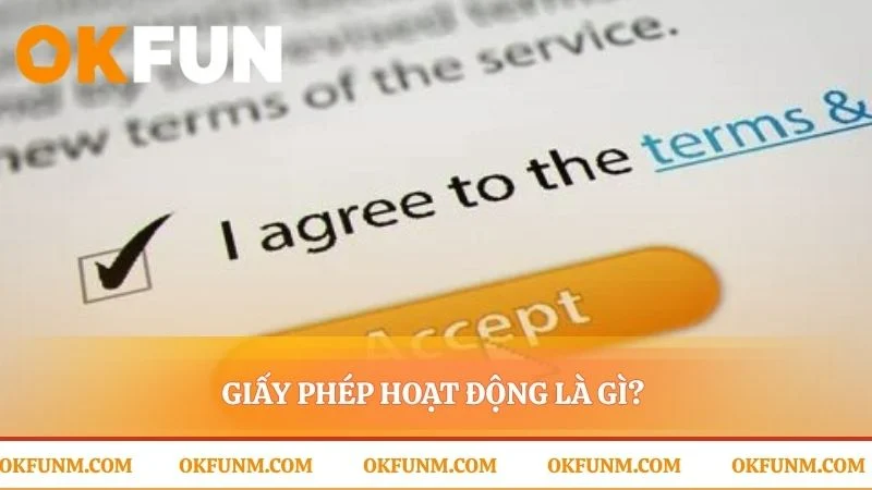 Nền tảng pháp lý cho mọi cuộc vui an toàn