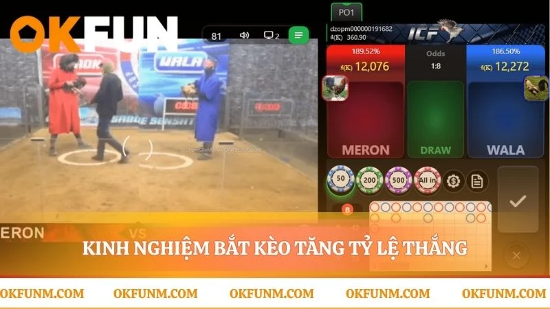 Chiến lược thực chiến cho bộ môn đá gà cựa sắt