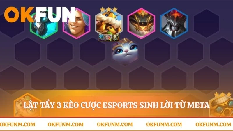 Biến kiến thức meta thành lợi thế trên sàn cược