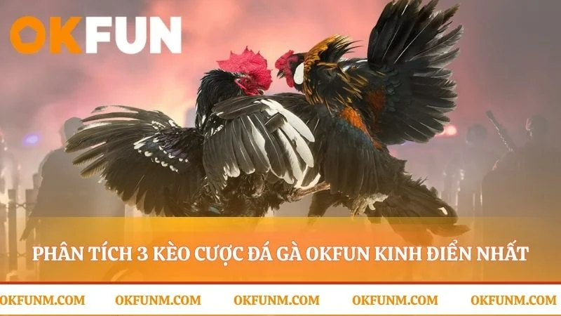 Giải mã ba lựa chọn cược tại đá gà OKFUN